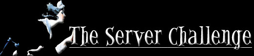 The Server