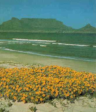 [Cape Town viewed across Table Bay]