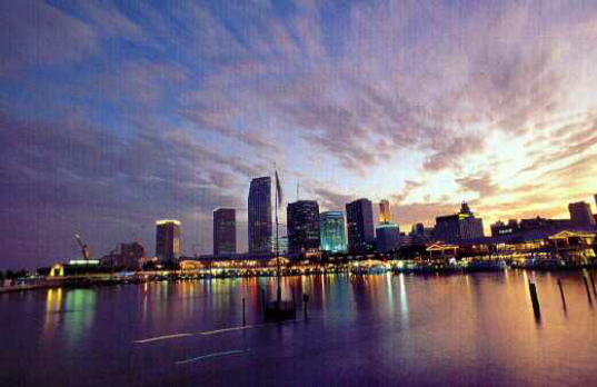 Miami Skyline