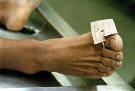 Please wait while picture loads