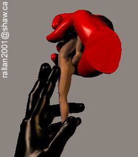 by rallan2001@shaw.ca