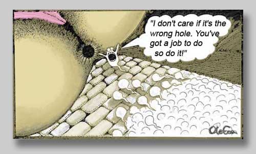 Please wait while picture loads