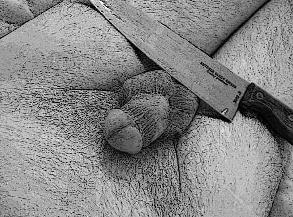 Please wait while picture loads