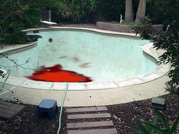 Please wait while picture loads