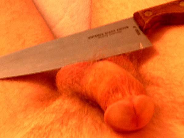 Please wait while picture loads