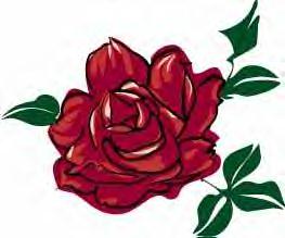 Please wait while picture loads