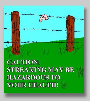 Please wait while picture loads