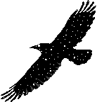 CROW1.GIF