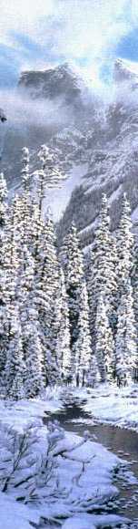 Copyright &copy; 1994 by Jonathon Earl Bowser