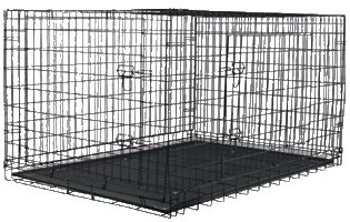 (performers waiting area)