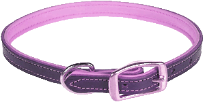 (girl's lavender collar)