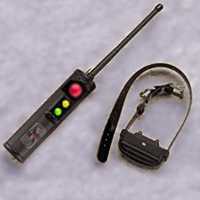 (electric dog collar)
