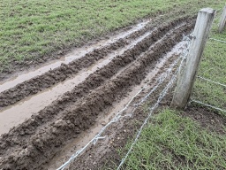 (muddy ruts)