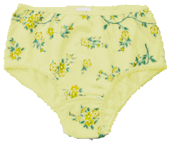 (Tina's panties)