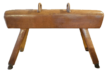 (pommel horse)