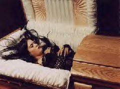 Please wait while picture loads