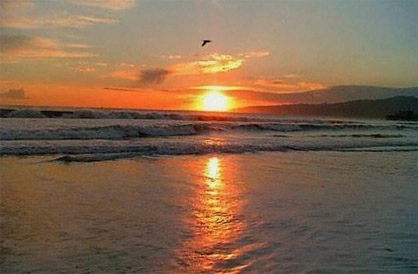 cuz11.jpg (34208 bytes)