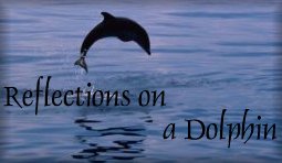 Reflections on a Dolphin