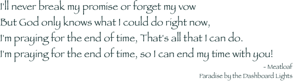 I'll never break my promise