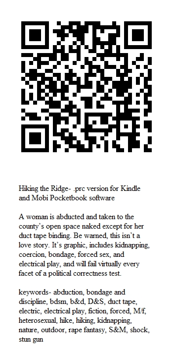QR code for stun gun bdsm story, Kindle version
