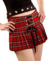 Picture of the type of skirt Emily was wearing