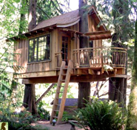 Picture of a tree house in the woods