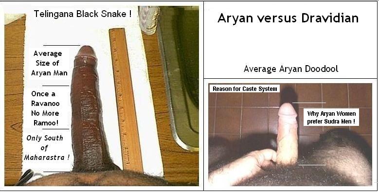 Aryan vs Dravidian.
