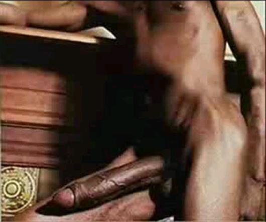 Telingana Black Snake