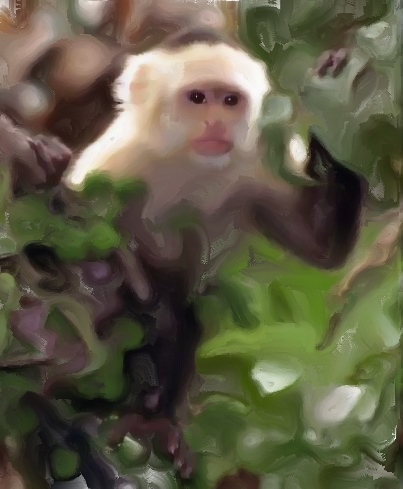 Image copyright Rod O'Steele © 2009 No use without written permission