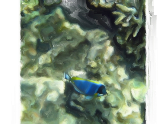 Image copyright Rod O'Steele &copy; 2009 No use without written permission